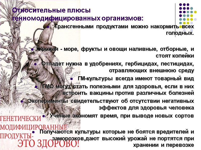 Относительные плюсы генномодифицированных организмов:  Трансгенными продуктами можно накормить всех голодных.  Урожая -